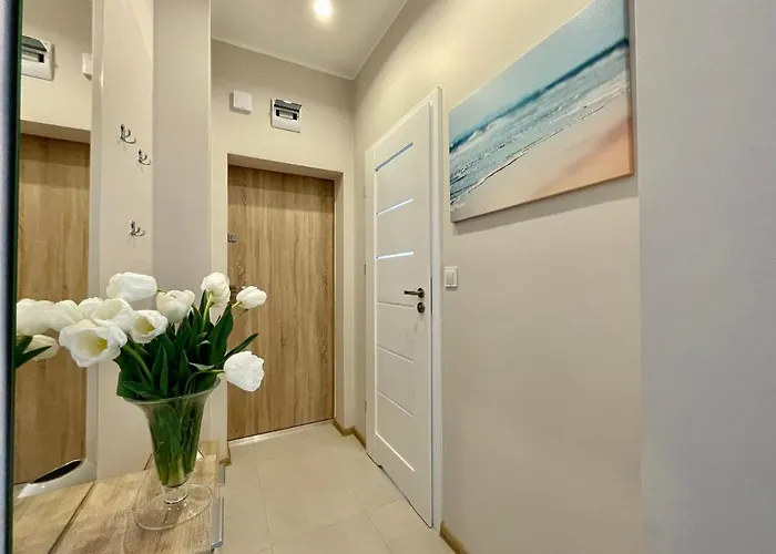 Daire Seabella Blisko Plazy Brzezno *